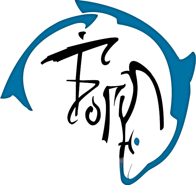 Логотип Анатолия Богуна